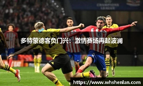 多特蒙德客负门兴：激情赛场再起波澜