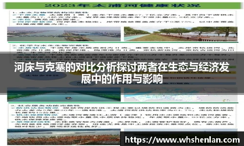 河床与克塞的对比分析探讨两者在生态与经济发展中的作用与影响