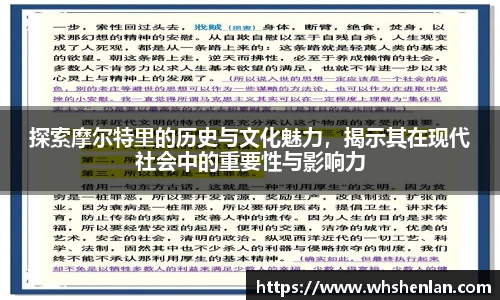 探索摩尔特里的历史与文化魅力，揭示其在现代社会中的重要性与影响力